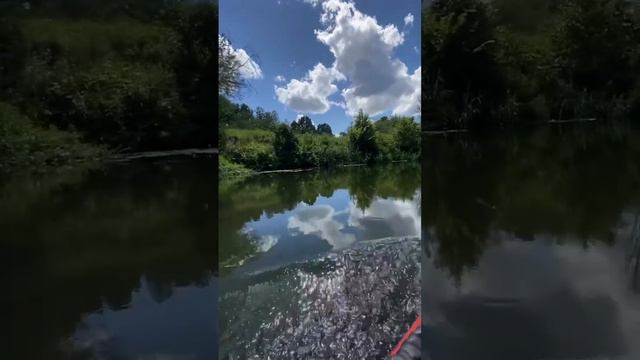 Невероятная красота #рыбалка #fishing #nature #природа #река #лодка