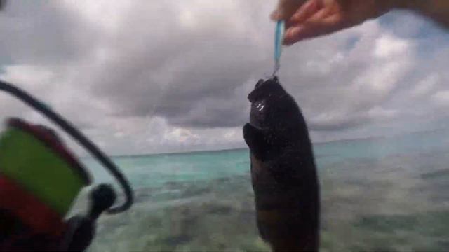 Thinadhoo Island | Maldive | 2019 смотреть онлайн