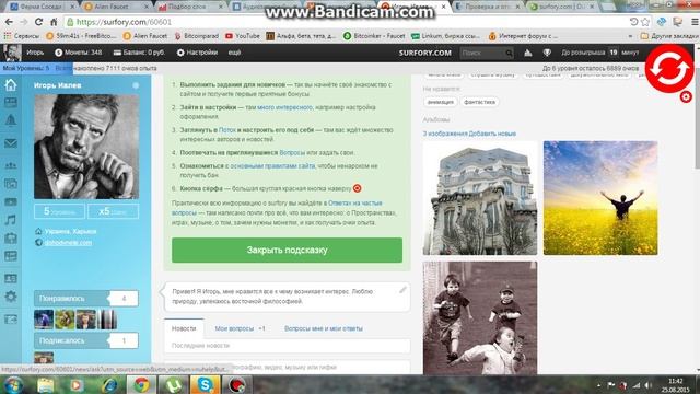 Surfory Com Обзор