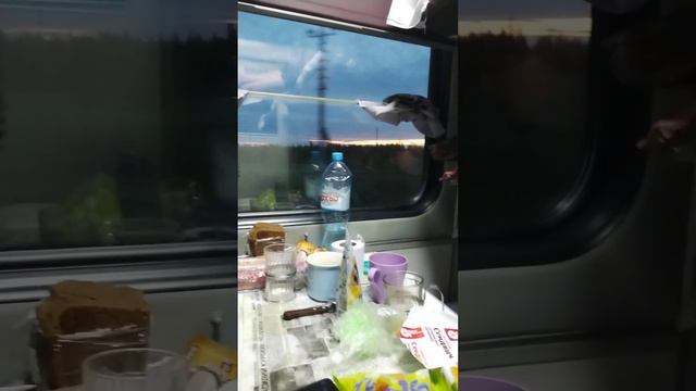 Агат первый раз едет на поезде... смотреть онлайн