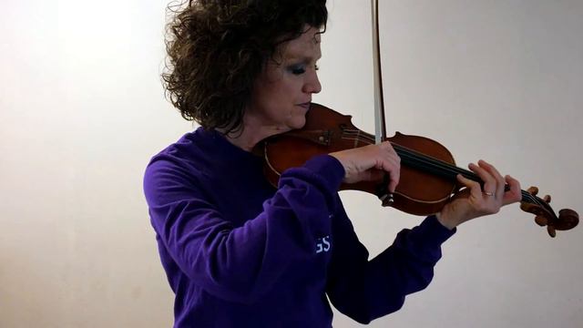 About the Instruments: The Violin