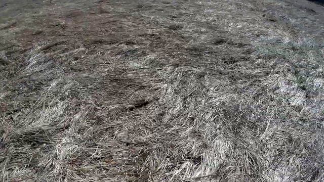 КОП как КОП смотреть онлайн