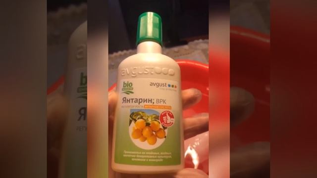 ЛУЧШИЙ СТИМУЛЯТОР РОСТА РАСТЕНИЙ! ГОТОВЛЮ ЯНТАРНУЮ ВОДУ! смотреть онлайн