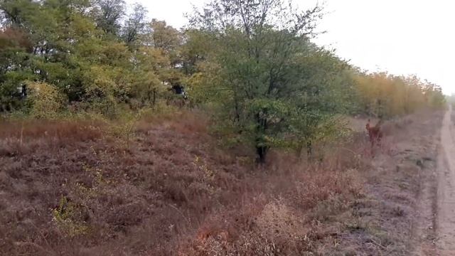 Отдых на природе ловим большую рыбу смотреть онлайн