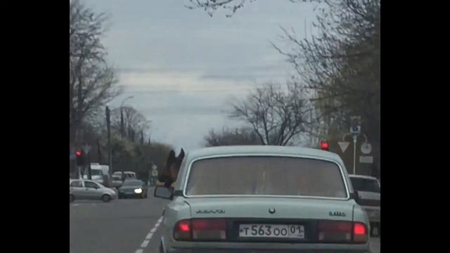 Эээййй, привет! смотреть онлайн