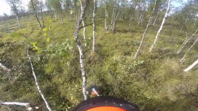 Stihl FS 560 C brush cut saw, Eastern Lapland, Finland смотреть онлайн