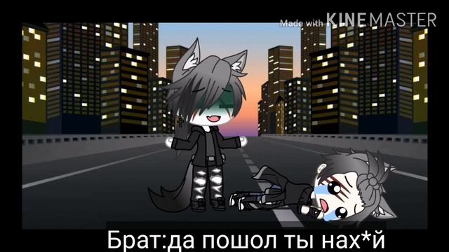 Прикол: рататуй