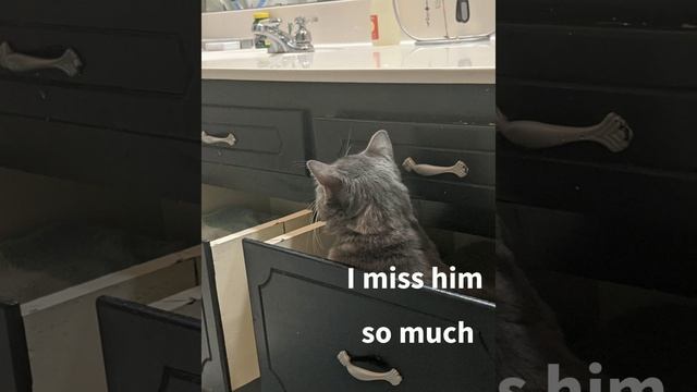Pray he will come home смотреть онлайн