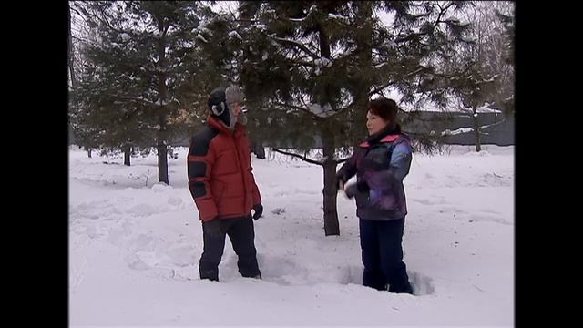 САЖАЕМ КРУПНОМЕРЫ ЗИМОЙ! смотреть онлайн