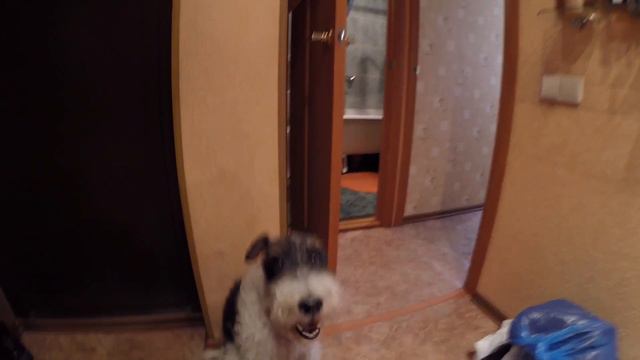 БАРНИК СМЕЕТСЯ [CAMvsMAN] смотреть онлайн