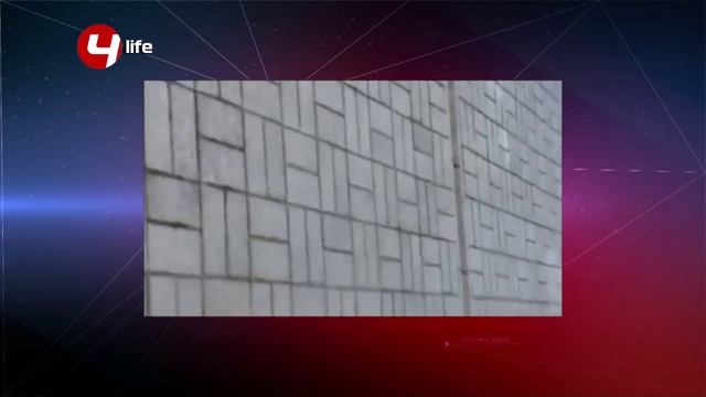 На Карякинской погибают птицы смотреть онлайн