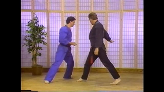 Kenpo Karate - Short Form II Aplications смотреть онлайн