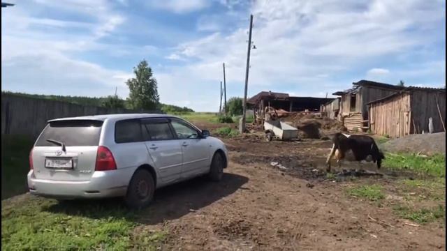 Обычное Уральское село! Напишите в комментариях, если увидите что-то не совсем обычное))) (#39) смотреть онлайн