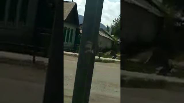 Теплоключенка смотреть онлайн
