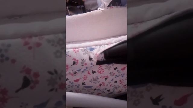 Коляска Адамекс Галактик 2 в 1 сиреневая с птичками. 50%экокожи смотреть онлайн