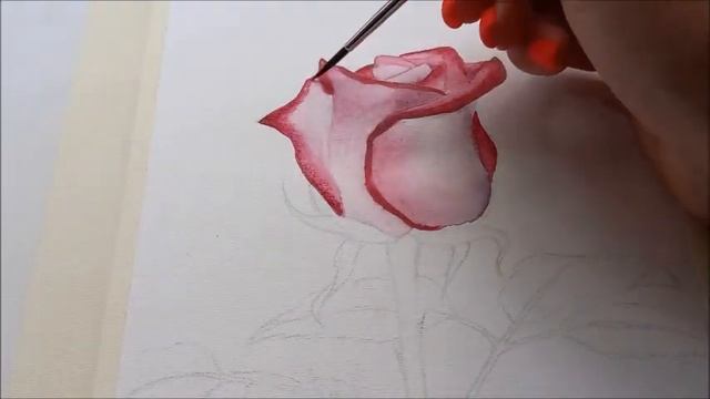 Как живая! Рисуем розу акварелью. смотреть онлайн