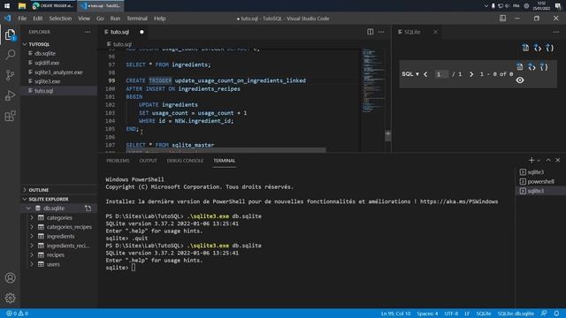 Apprendre et maitriser SQL : Les triggers смотреть онлайн