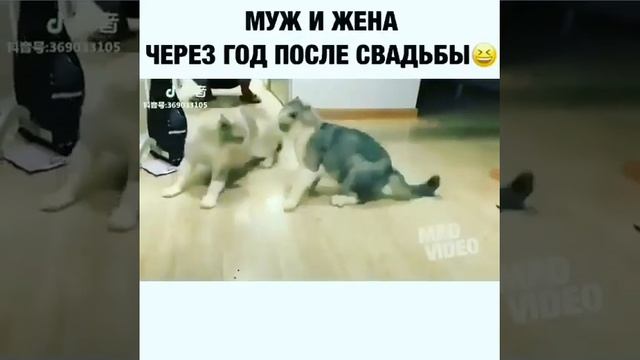 МУЖ И ЖЕНА ЧЕРЕЗ ГОД ПОСЛЕ СВАДЬБЫ?? смотреть онлайн