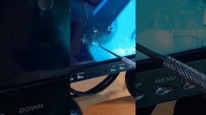 Туарег парктроники.