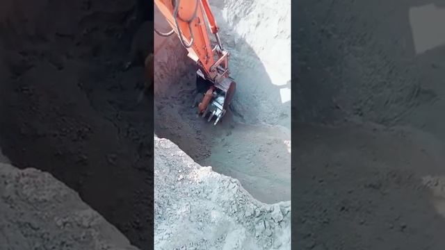 Спасение собачки смотреть онлайн