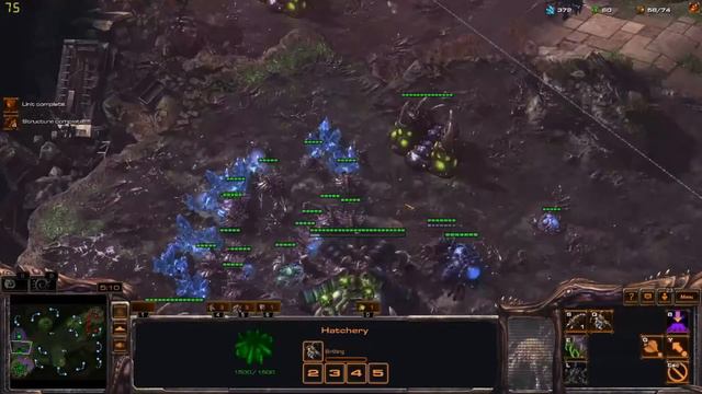 Starcraft 2 - The Lurker Push!!! смотреть онлайн