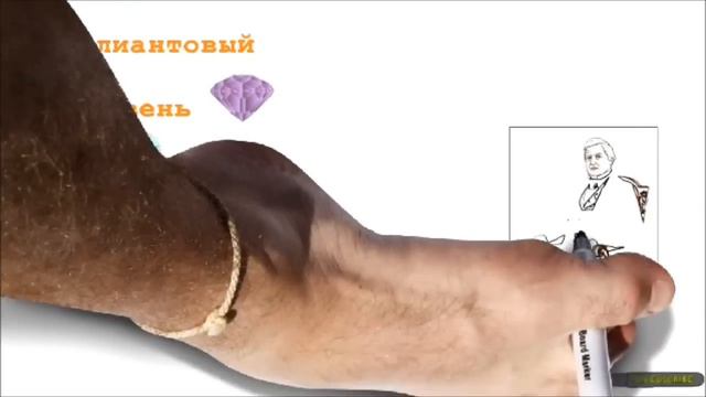 Как нас обычно дурят в сети интернет! смотреть онлайн