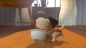 Белка и Стрелка: Озорная семейка. Раскраска, 19 серия. Впервые на арене