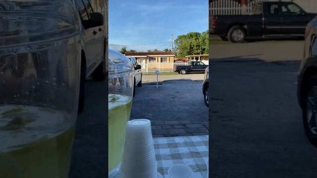 Making a lemonade stand with my friend the monster смотреть онлайн