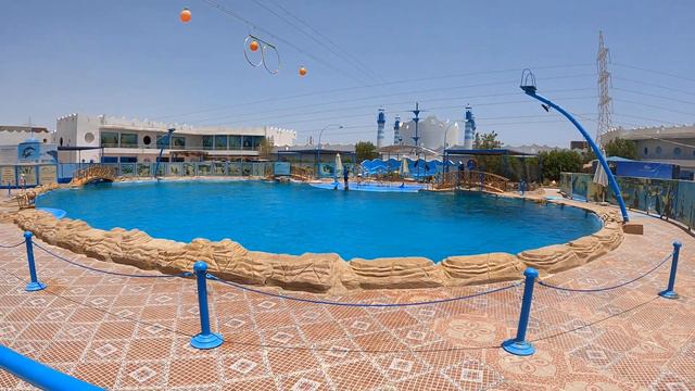 Egypt 2022-Tui Magic Life Kalawy,Delfinárium, Makadi Bay. смотреть онлайн