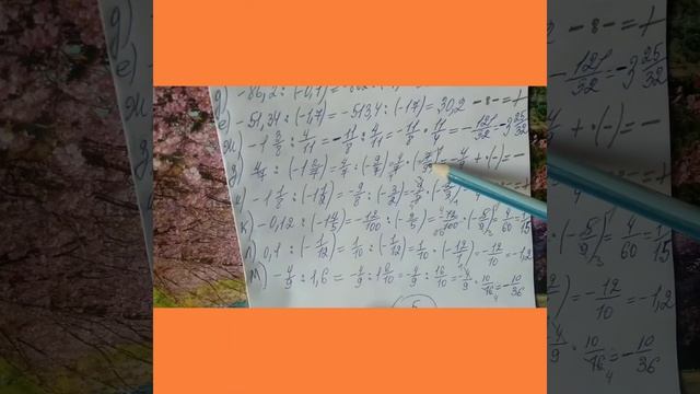 1172 математика 6 класс. Деление положительных и отрицательных чисел Примеры смотреть онлайн