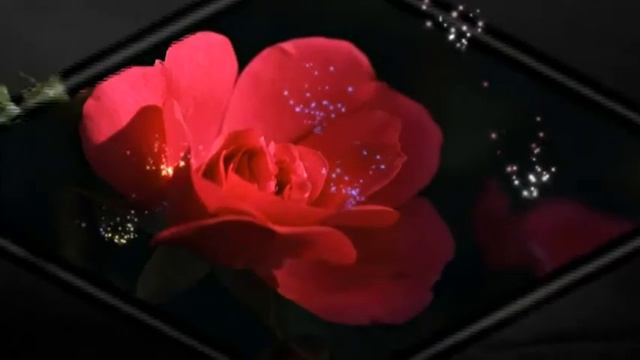 Elke Martens Die Rose der Wahrheit hat Dornen смотреть онлайн