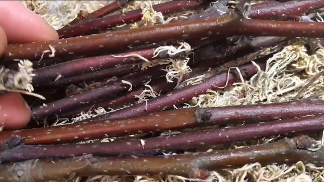 Чтобы болезни ушли смотреть онлайн