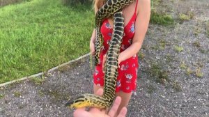 Анаконда душит девушку Anaconda strangles a girl