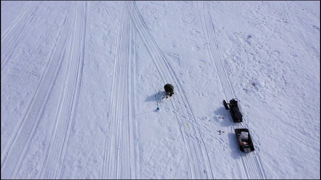 КОГДА В МОРЕ НЕПОГОДА, ОКУНИ ВЫРУЧАЮТ / WHEN THERE IS BAD WEATHER IN THE SEA, PERCHES HELP OUT смотреть онлайн