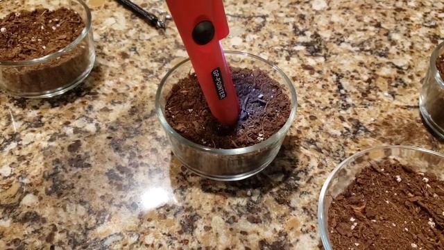 The Battle Of The Affordable Metal Detecting Pinpointers - See Who Wins ? смотреть онлайн