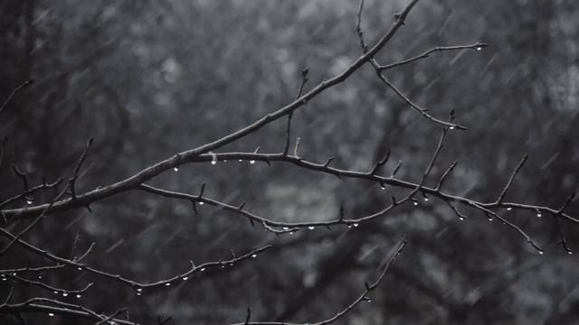 Шум сильного осеннего дождя, для сна. смотреть онлайн