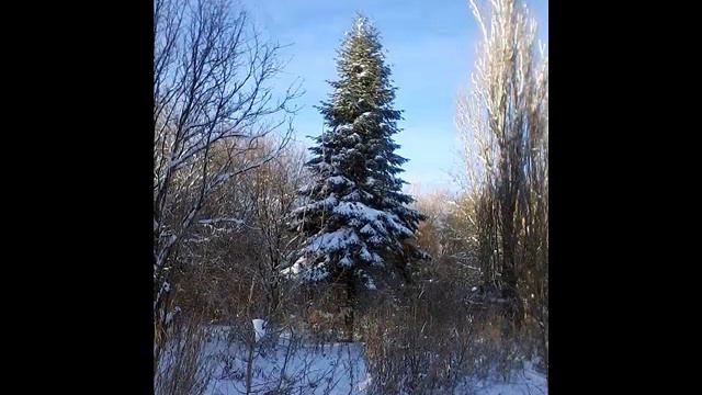 Зима смотреть онлайн