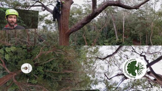 Микро-Макро Мир