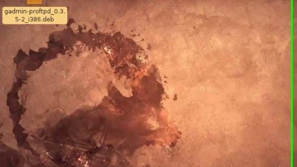 Install ProFTPD with GUI GADMIN on Linux Ubuntu 8.10.