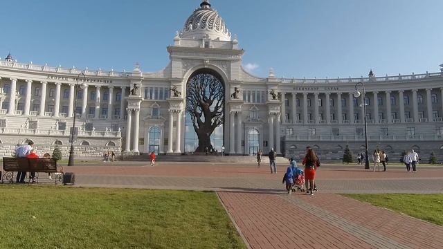 Дерево в здании смотреть онлайн