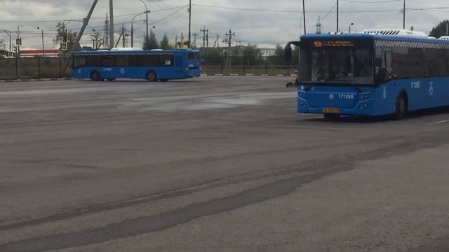 Тренировка на вилли пауке смотреть онлайн