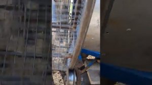 Самодельный картофельный комбайн на базе копалки Краковяк