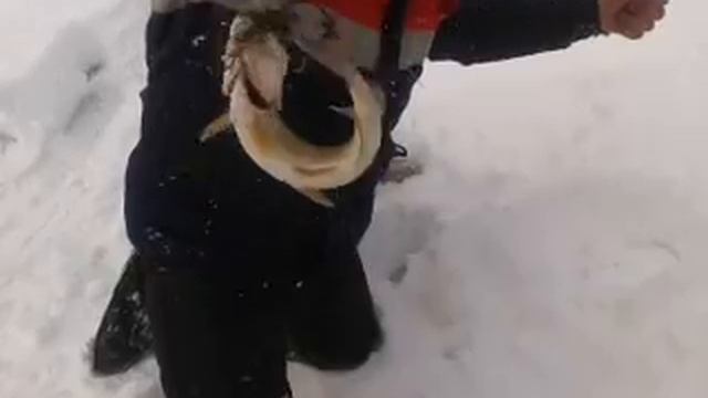 р.Бабка смотреть онлайн