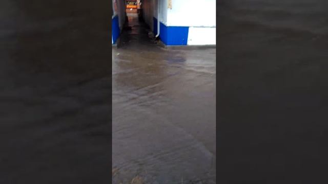 Ливень в Ростове-на-Дону 1, 31.07.2019 Нахичеванский рынок. смотреть онлайн