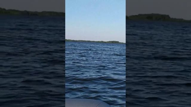 лодка лоцман 2800 мотор Хопёр 520 по Волге Саратов смотреть онлайн