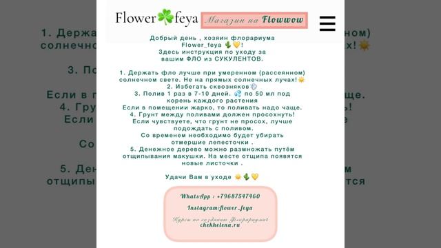 Как ухаживать за флорариумом . Инструкция . смотреть онлайн