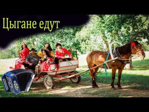 Цыгане едут // разбор на гармони