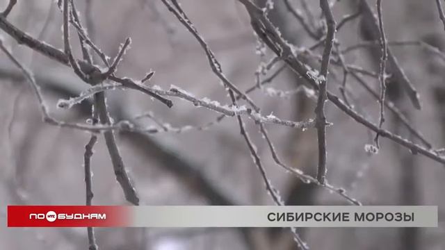 Морозы вновь придут в Иркутскую область смотреть онлайн