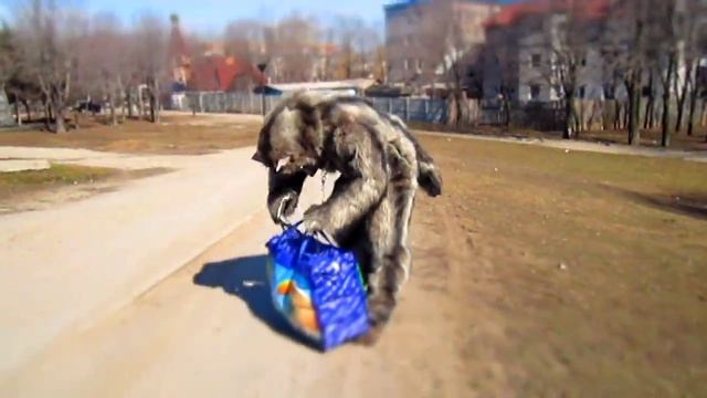 My werewolf suit on the street . Волк на улицах Луганска. 13.03.2014 смотреть онлайн