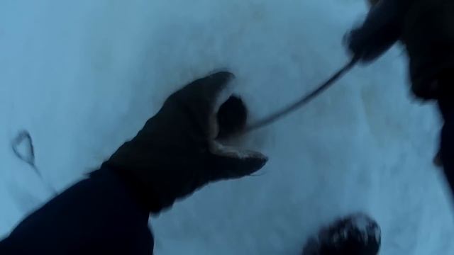 Зимний налим!!! Попал налим мутант!!!! смотреть онлайн